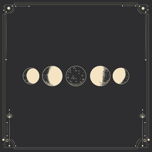 杨美娟AV播放果冻传媒
